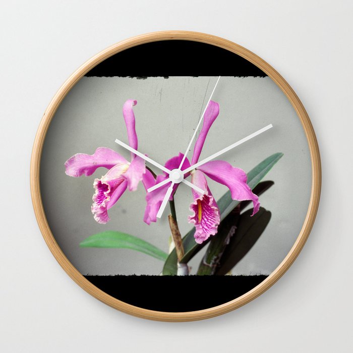 Cattleya Wall Clock