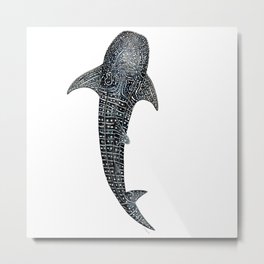 Whale shark for divers, shark lovers and fishermen Metal Print