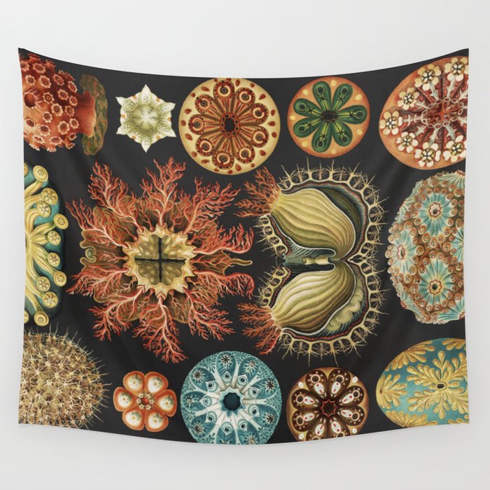 Acidiae by Ernst Haeckel : Art Forms in Nature  1904 Wall Tapestry