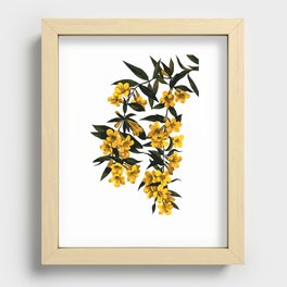 Gelsemium Sempervirens Carolina Jasmine Blossom Pattern Recessed Framed Print