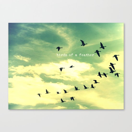 Birds of a Feather Canvas Print