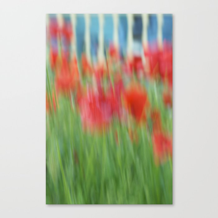 Red poppies Canvas Print
