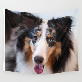 Cute sheltie dog resting Wall Tapestry