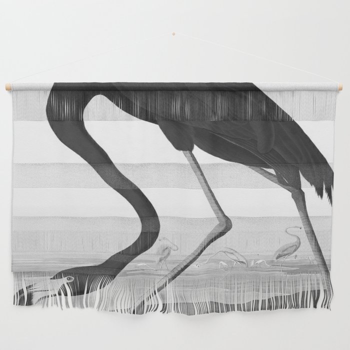 John James Audubon American Flamingo, black, white  Wall Hanging