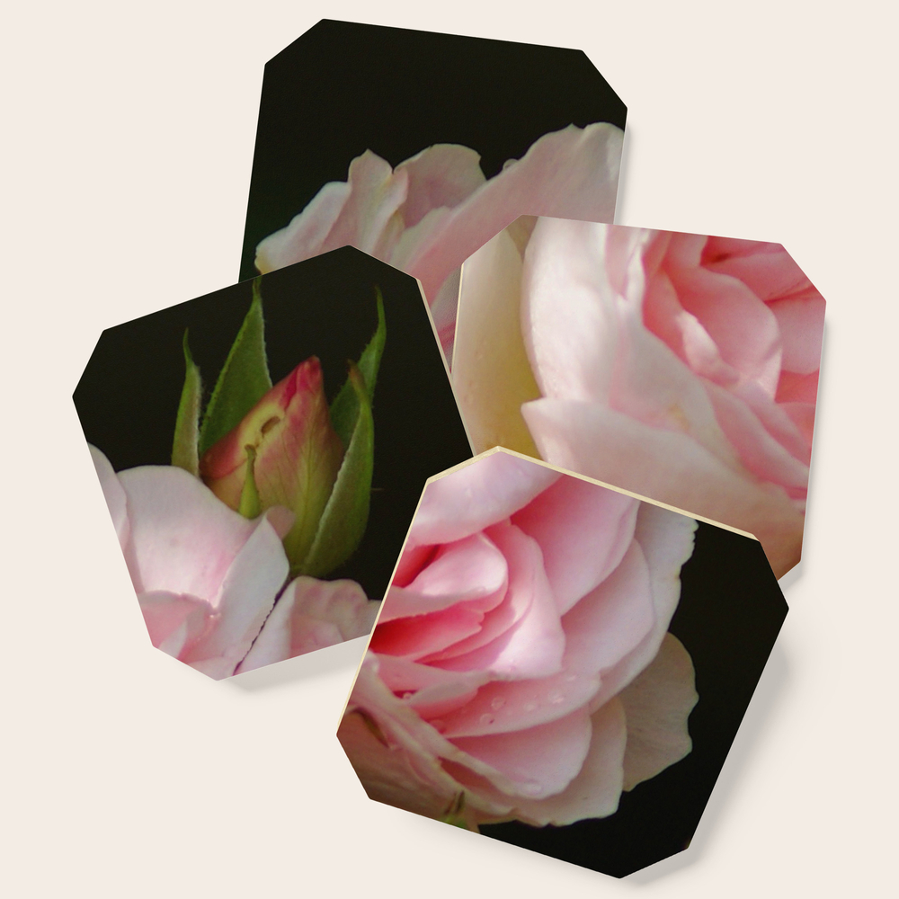 Rose Petal Cottage Compare Prices On Gosale Com