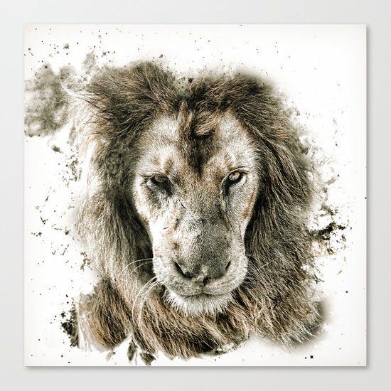 LION 3 Canvas Print