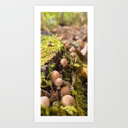 Mushroom Family Art Print