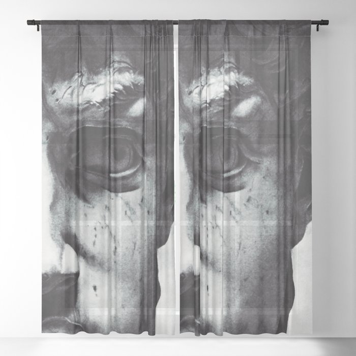 David's visual field Sheer Curtain