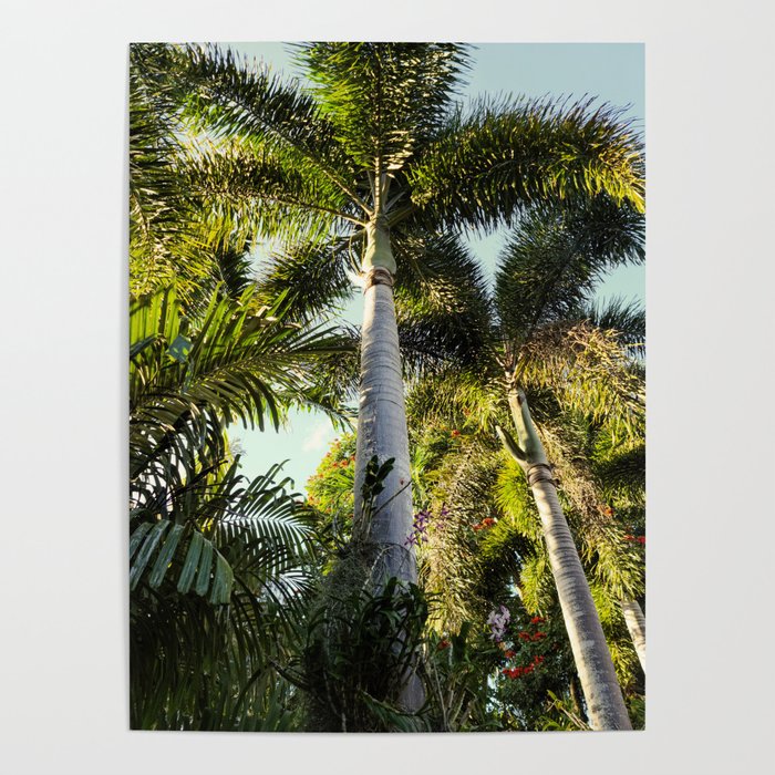 Palm Tree Garden Poster