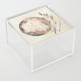 Bunny in the Moon Acrylic Box
