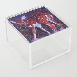 Encounter Acrylic Box