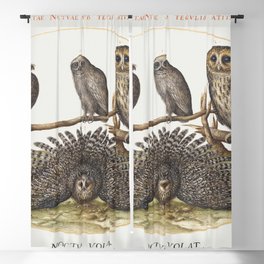 Four Owls Blackout Curtain