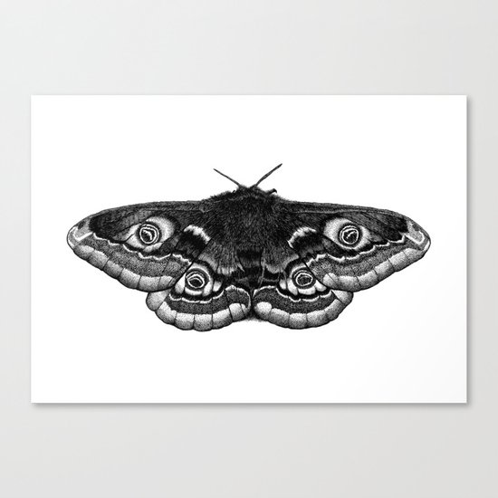Moth Dotwork Drawing Canvas Print