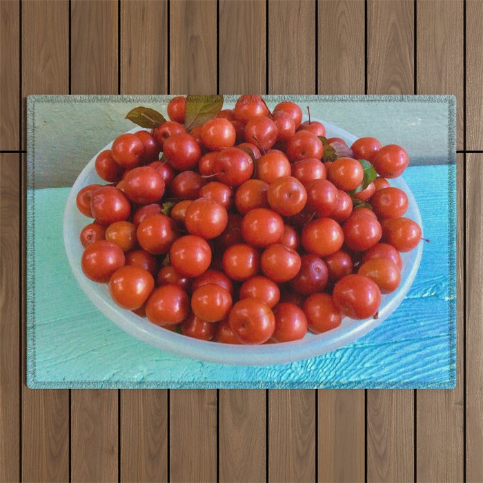 Bowl of organic cherries Outdoor Rug