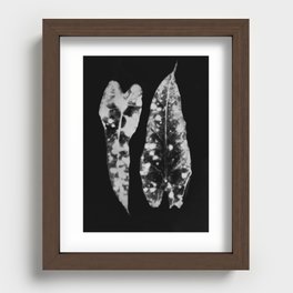 Ghostly Mottled Leaves Photogram Recessed Framed Print