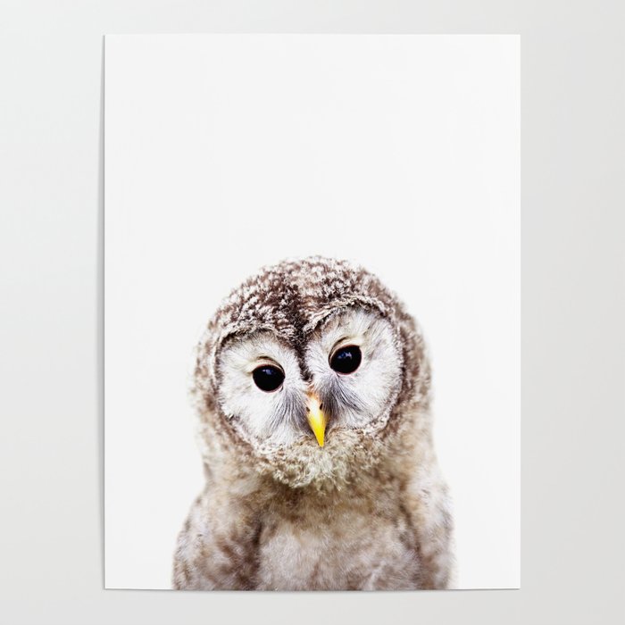Baby Owl, Woodland Animals, Kids Art, Baby Animals Art Print By Synplus Poster