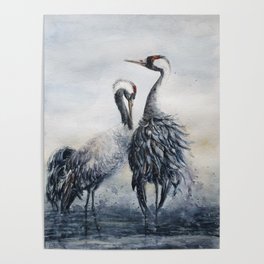 Common cranes Poster