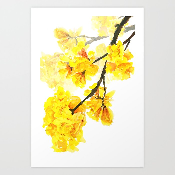 yellow trumpet trees watercolor yellow roble flowers yellow Tabebuia Art Print