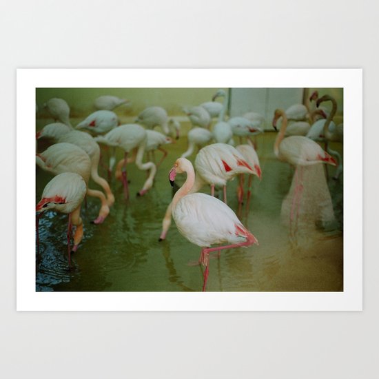POSE Art Print