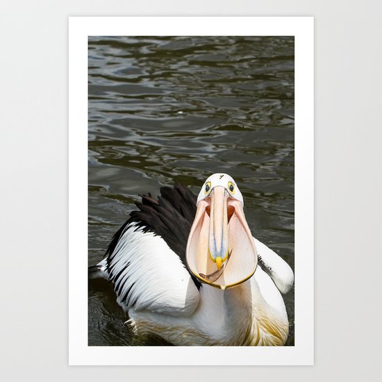 A lucky capture Art Print