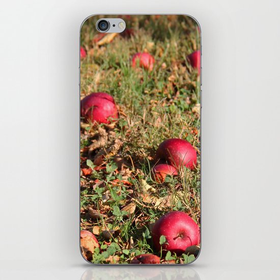 Resting Places iPhone & iPod Skin