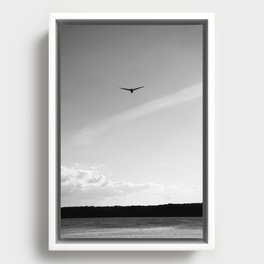 As the Lonely Bird Soars Framed Canvas