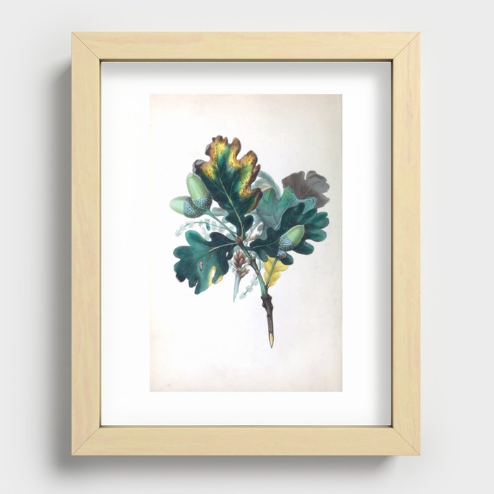 The Oak, from "The Spirit of the Woods," 1849 (benefiting the Arbor Day Foundation) Recessed Framed Print