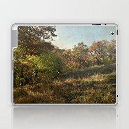 Vintage postcard countryside forest Laptop Skin