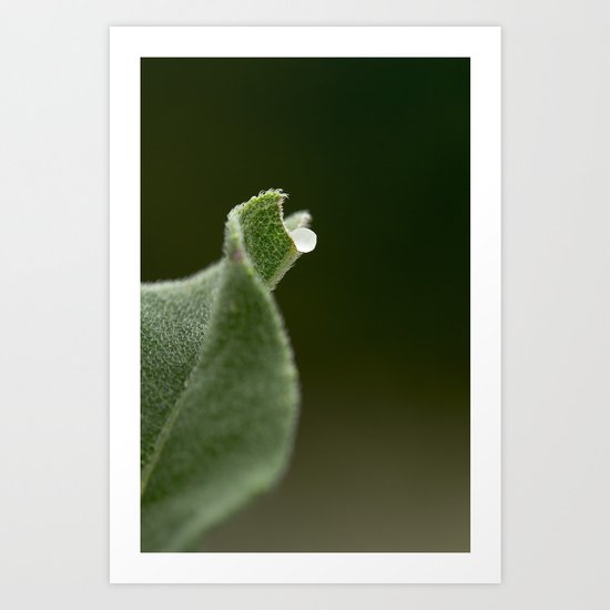 Sinuous Art Print