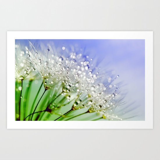 Sparkling drops on a Dandelion- Abstract blue flower Art Print