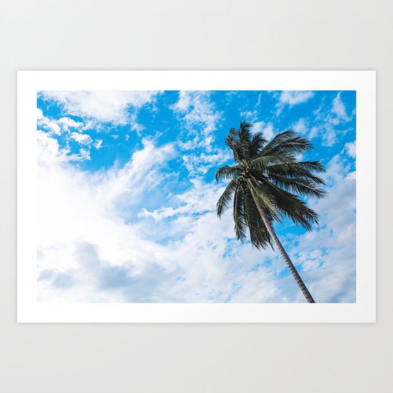 Palm Tree under Blue and White Art Print