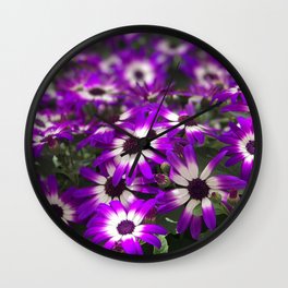 Cineraria Flower Wall Clock | Flowergarden, Flowers, Flower, Purplewhiteflowers, Cinerariaflower, Purple, Floral, Photo, Garden, White 