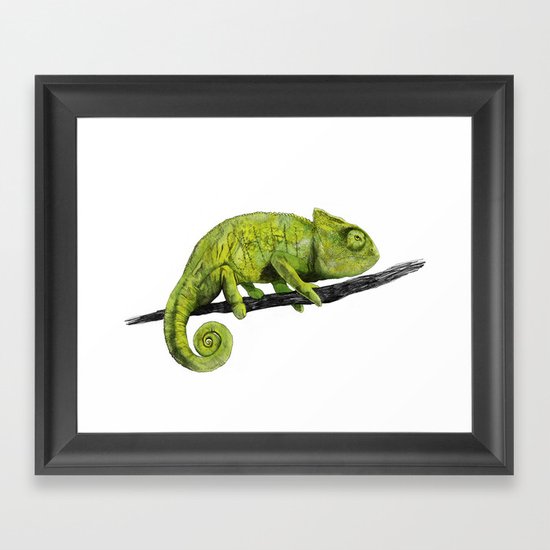 Nice Chameleon Framed Art Print