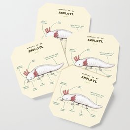 Anatomy of an Axolotl Coaster