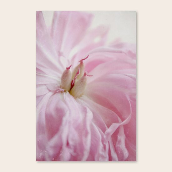 inside Canvas Print