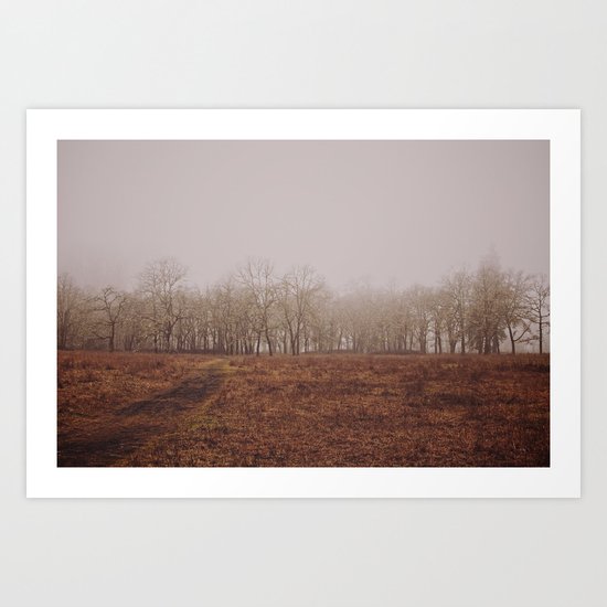 Foggy Trail to the Trees Art Print