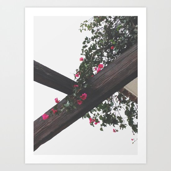 Wooden & Flowers Art Print