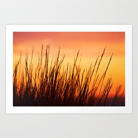 Enjoy the Warmth Art Print