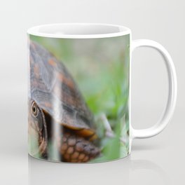 Box Turtle Coffee Mug