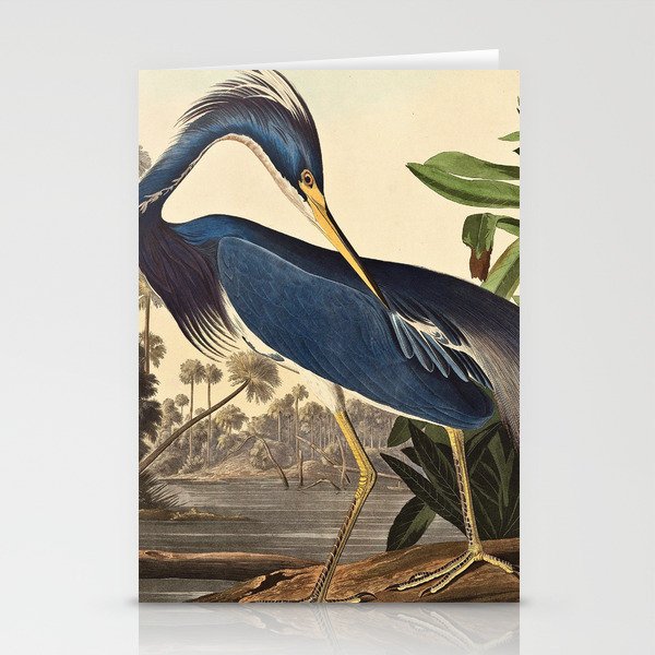 John James Audubon - Louisiana Heron Stationery Cards
