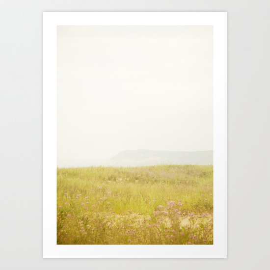 Wild Flowers Lake Michigan South Manitou Art Print