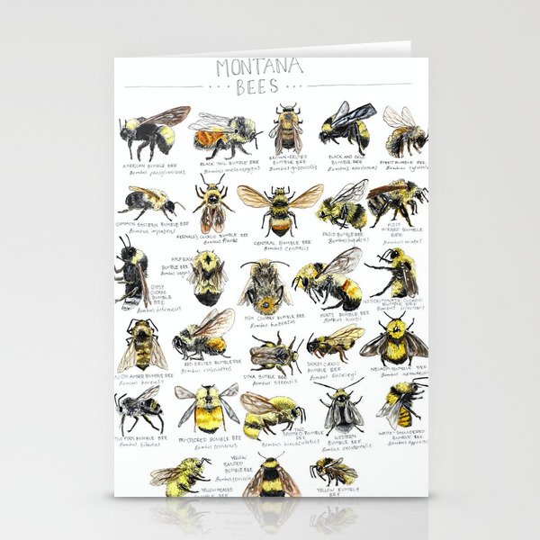 Montana Bee Chart Stationery Cards
