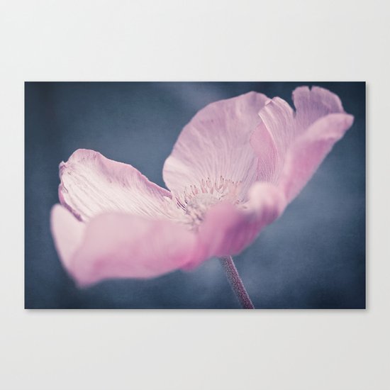 NIGHT BEAUTY Canvas Print