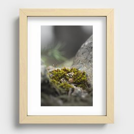 Moss Recessed Framed Print