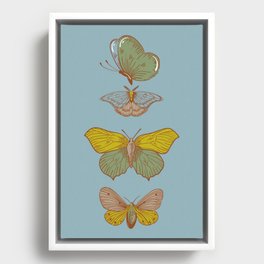 Vintage Butterfly Teal Framed Canvas