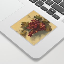 Grapes Against White Wall by Edwin Deakin Sticker