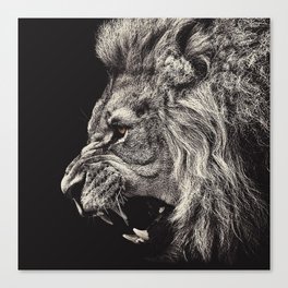 Angry Male Lion Canvas Print