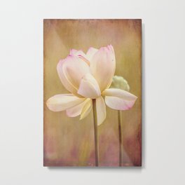 Lotus Bloom Metal Print