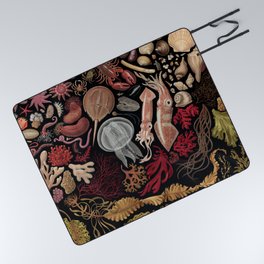 Intertidal Life of the North Atlantic (with species list) Picnic Blanket