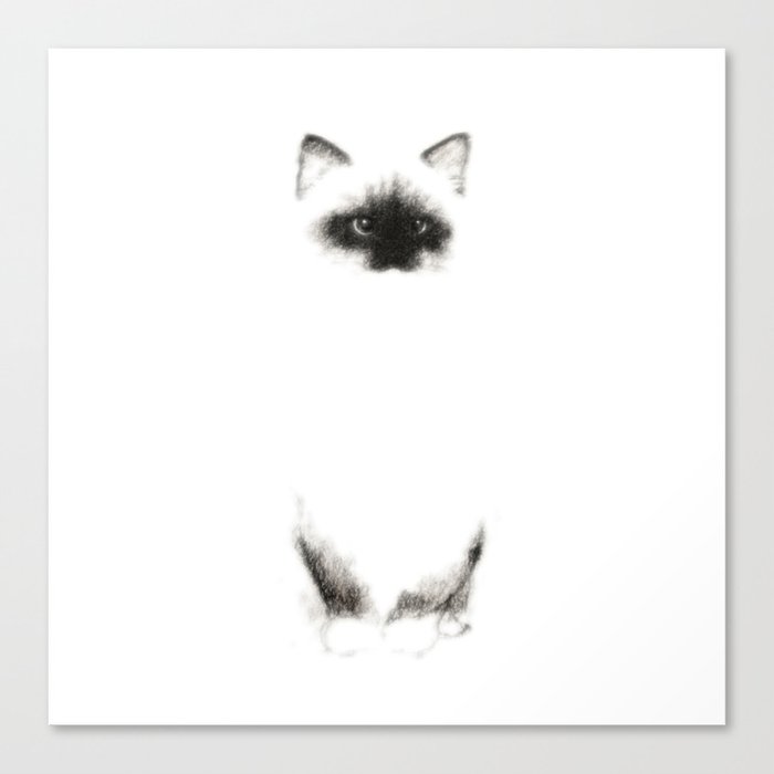 Angora Siamese Cat Chat Siamois Angora Canvas Print By Priscilla Moore Society6